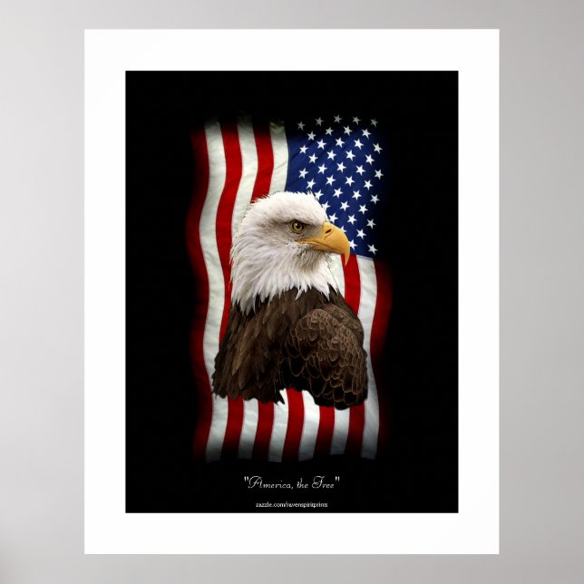 U.S. Flag & Bald Eagle Patriotic Poster Print (Front)