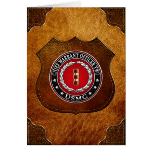 U.S. Marines: Chief Warrant Two (USMC CWO-2) [3D]
