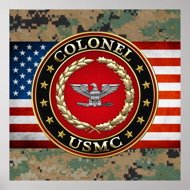 U.S. Marines: Colonel (USMC Col) [3D] Poster (Front)