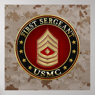 U.S. Marines: First Sergeant (USMC 1stSgt) [3D] Poster