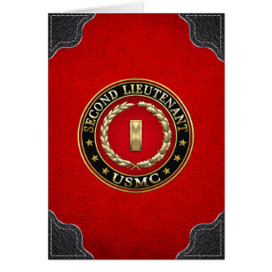 U.S. Marines: Second Lieutenant (USMC 2ndLt) [3D]