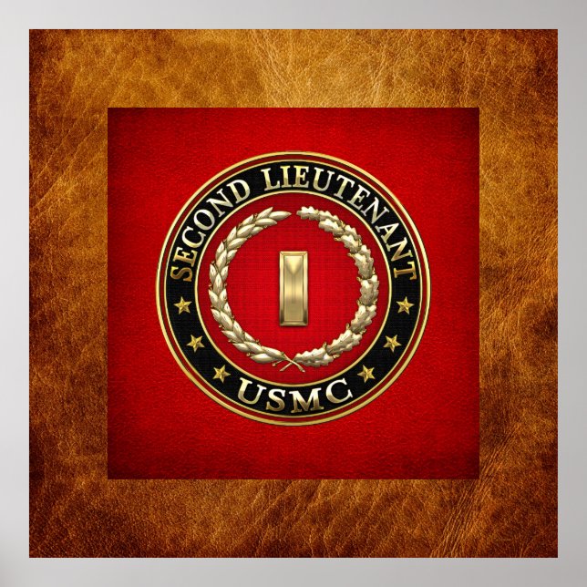 U.S. Marines: Second Lieutenant (USMC 2ndLt) [3D] Poster (Front)