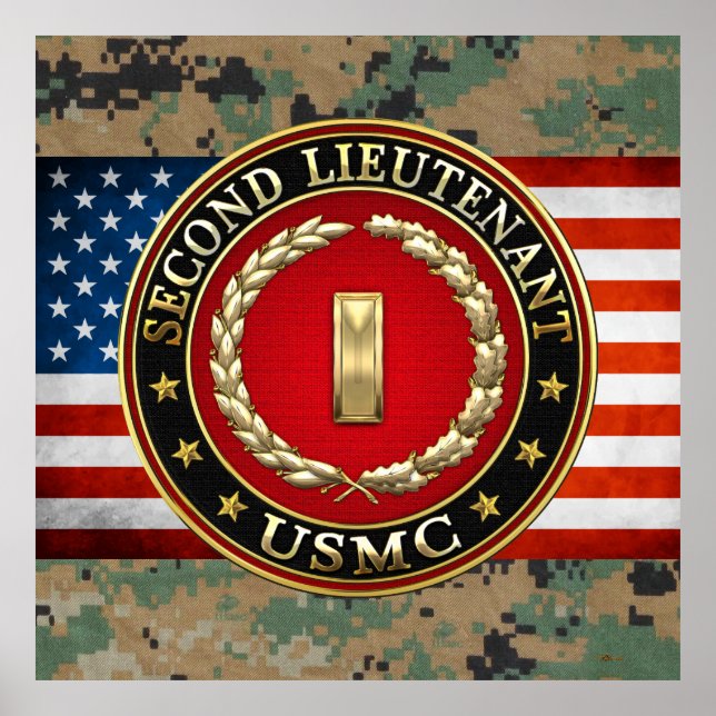 U.S. Marines: Second Lieutenant (USMC 2ndLt) [3D] Poster (Front)