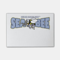 U.S. Navy Seabee