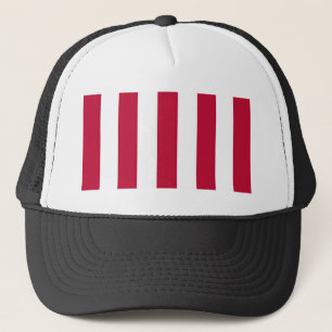 U.S. Sons of Liberty 9 Vertical Strip Flag Trucker Hat
