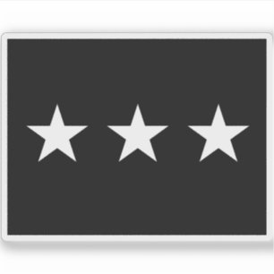 U.S. Space Force brigadier lieutenant general flag