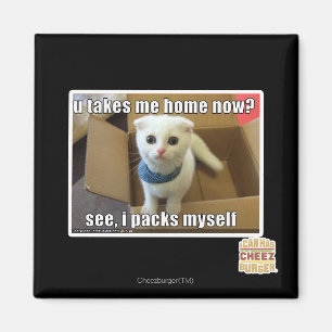 U take me home now? magnet