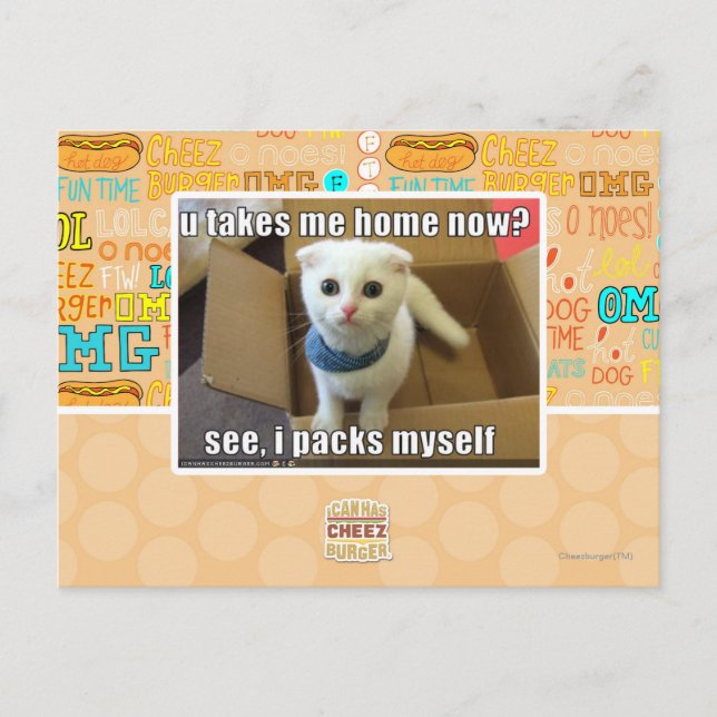 U take me home now? postcard (Front)