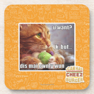 U want? coaster