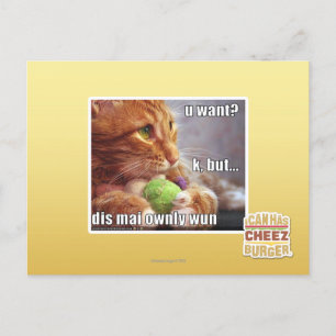 U want? postcard