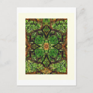 UABSTRACT AMBIDEXTROUS TREES #66, Edit G, Oil. Postcard