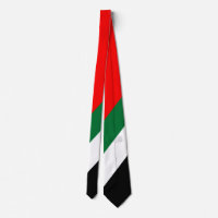 UAE Flag Men's Necktie