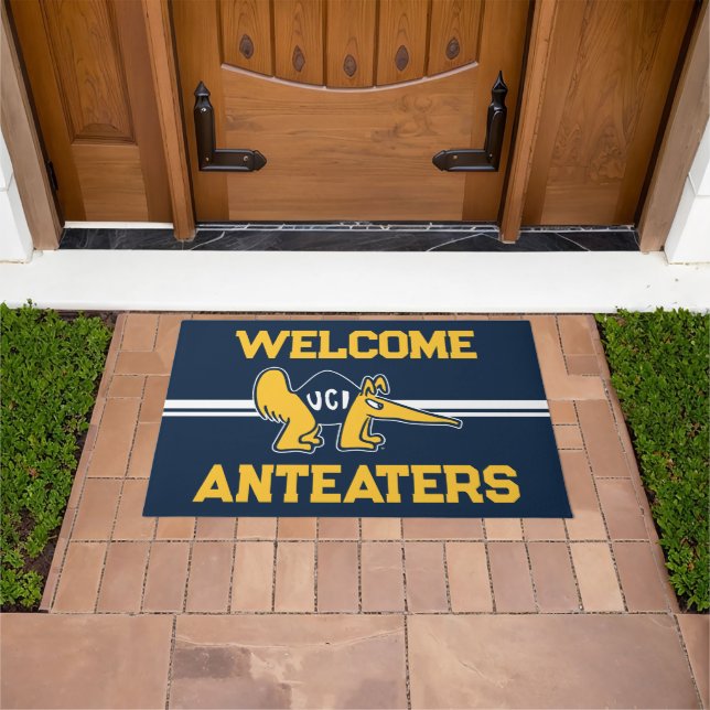 UC Irvine | UCI Anteaters Doormat (Outdoor)