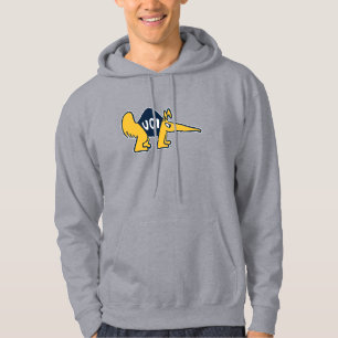 UC Irvine UCI Anteaters Hoodie