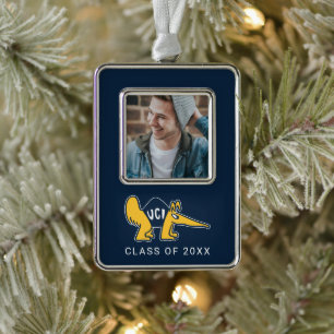 UC Irvine   UCI Anteaters Silver Plated Framed Ornament