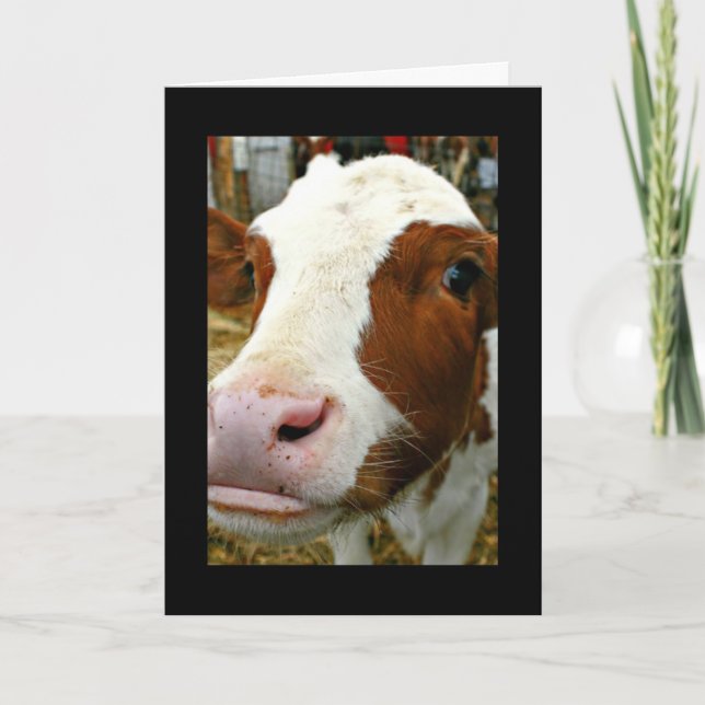 Udderly Cool Aunt Mother's Day With Cow Card (Front)