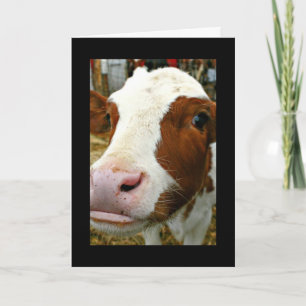Udderly Cool Mum Mother's Day Card With Cow