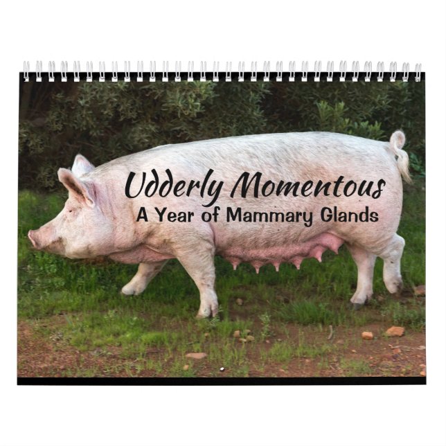 Udderly Momentous Calendar (Cover)