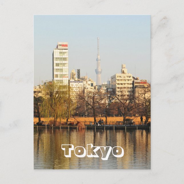 Ueno Park in Tokyo, Japan Postcard (Front)