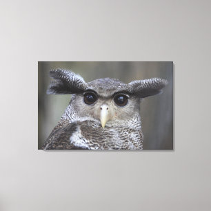 Ueno, Taitoh-ku, Tokyo, Japan 3 Canvas Print