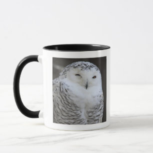 Ueno, Taitoh-ku, Tokyo, Japan Mug