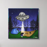 UFO Extraterrestrial Abduction Alien  