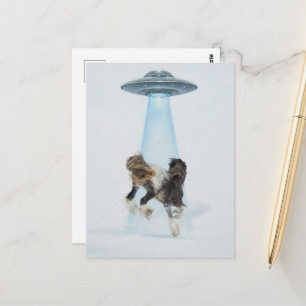 UFO picking up a Gorgeous Horse Postcard