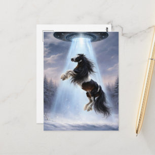 UFO picking up a Spotted Gypsy Vanner Horse Postcard