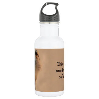 Ugly Chick 532 Ml Water Bottle