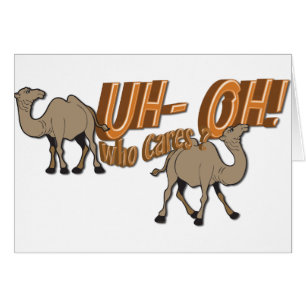 Uh OH Hump Day Camel  WHO Cares