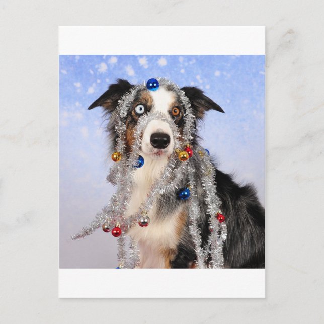 Uh-oh Postcard (Front)