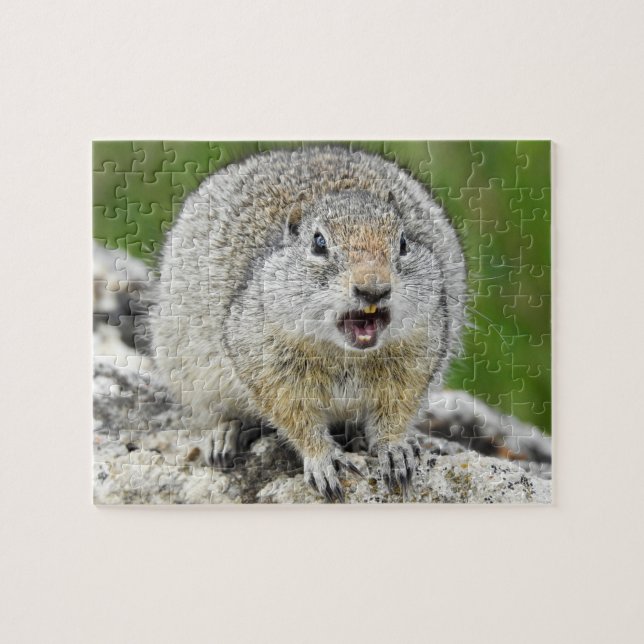 Uinta Ground Squirrel Puzzle (Horizontal)