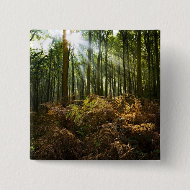 UK, England. Rays of sunlight streaming through 15 Cm Square Badge (Front)