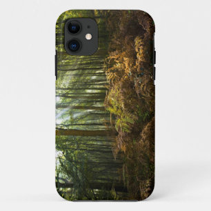 UK, England. Rays of sunlight streaming through iPhone 11 Case