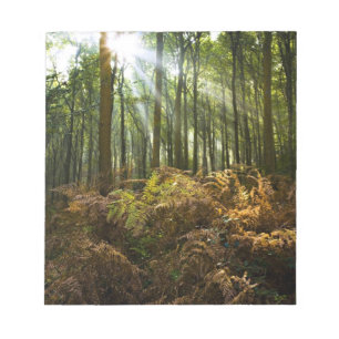 UK, England. Rays of sunlight streaming through Notepad