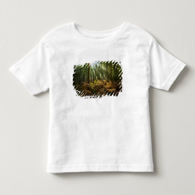 UK, England. Rays of sunlight streaming through Toddler T-Shirt (Front)
