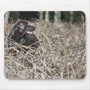 UK, England, Suffolk, Thetford Forest, Black 2 Mouse Pad