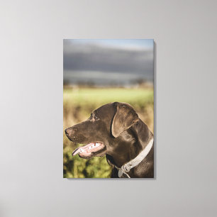 UK, England, Suffolk, Thetford Forest, Profile Canvas Print