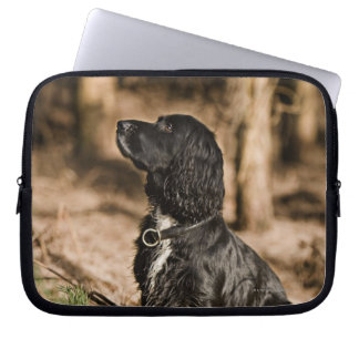 UK, England, Suffolk, Thetford Forest, Spaniel Laptop Sleeve