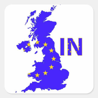 UK – EU membership referendum 2016 Square Sticker