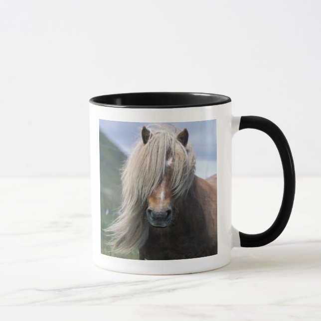UK, Scotland, Shetland Islands, Shetland pony Mug (Right)