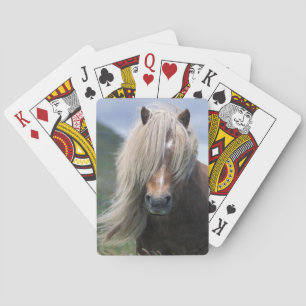 UK, Scotland, Shetland Islands, Shetland pony Playing Cards
