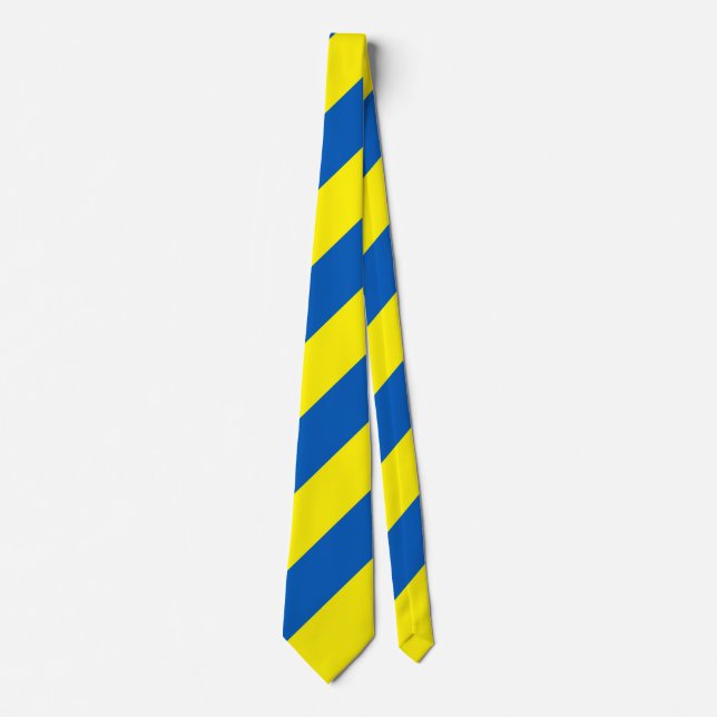 Ukraine Flag Colours Modern Tie (Front)