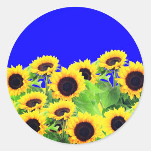 Ukraine Flag Colours Sunflowers Sticker - Freedom