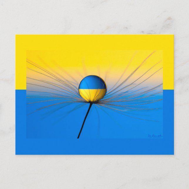 Ukraine Flag of Hope Postcard (Front)