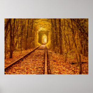 Ukraine Forest Railway Tunnel of Love Landscape Poster