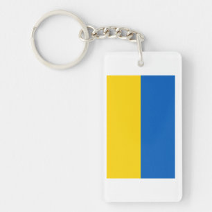 Ukraine National Flag Key Ring