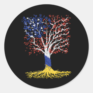 Ukraine Usa Friendship America Ukrainian Roots  Classic Round Sticker