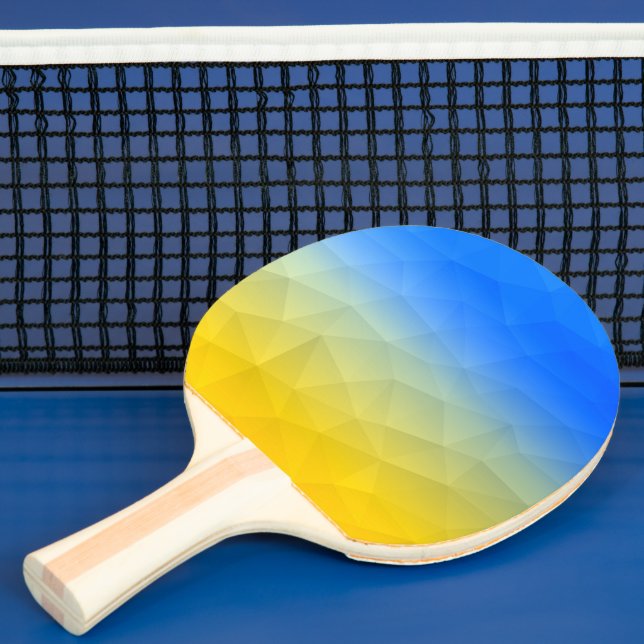 Ukraine yellow blue geometric mesh pattern ping pong paddle (Insitu)
