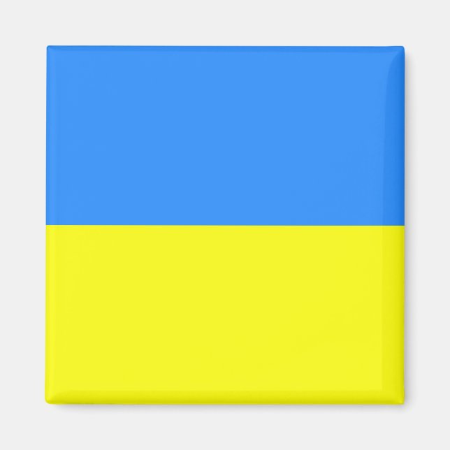 Ukrainian Flag Magnet (Front)